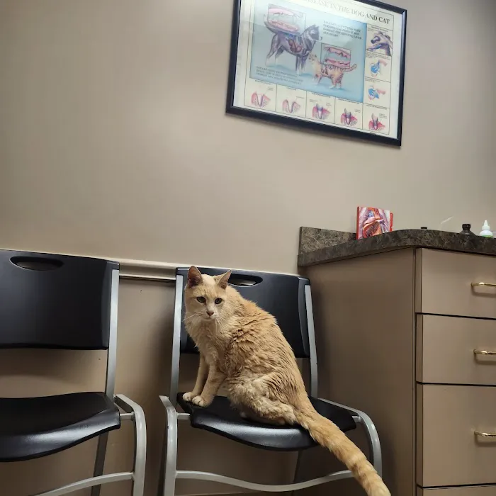 Sandusky Animal Hospital 12