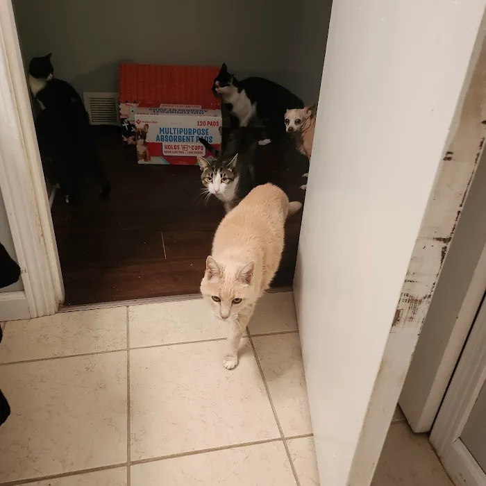 Sandusky Animal Hospital 12