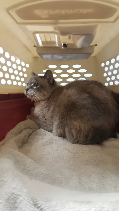 Lakeshore Veterinary Hospital 12