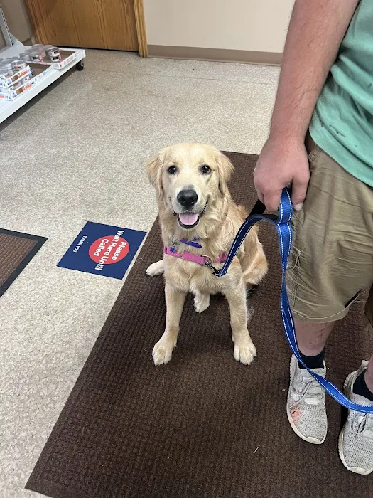 NOAH Pet Clinic 12