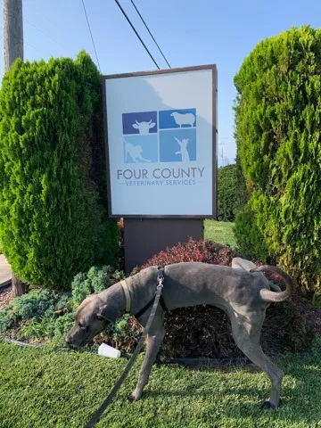 Four County Veterinary Services 12