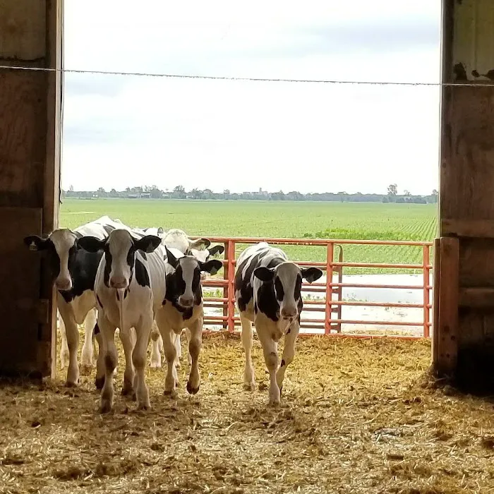 Four County Veterinary Services 12
