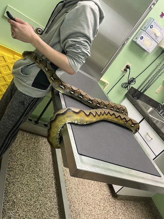 Bellevue Animal Hospital 12