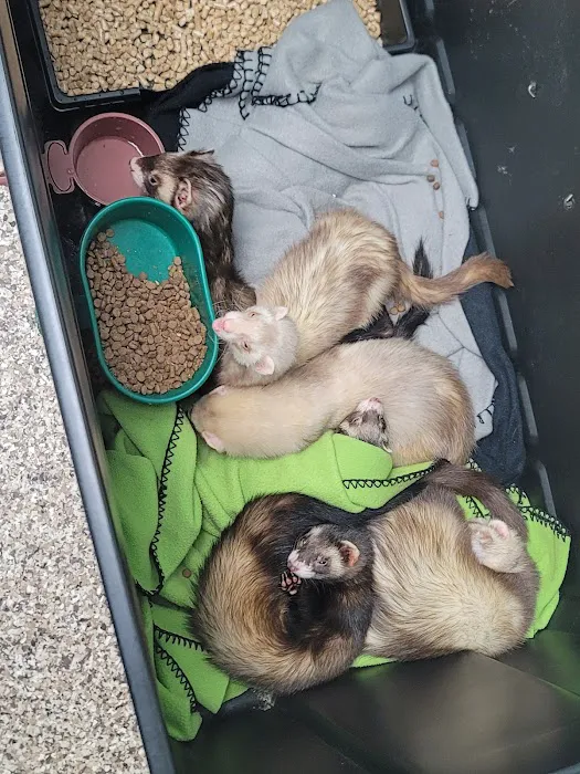 Bellevue Animal Hospital 12