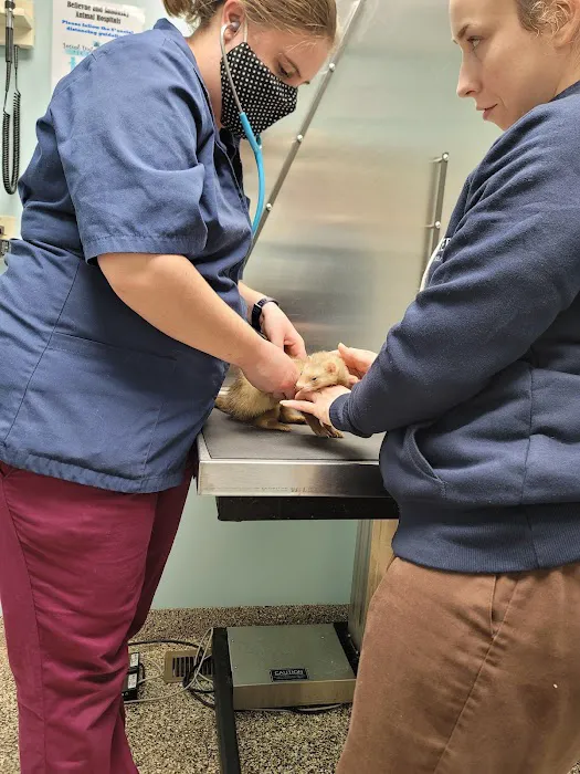 Bellevue Animal Hospital 12