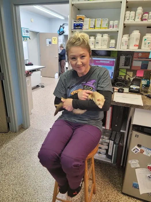 Bellevue Animal Hospital 12