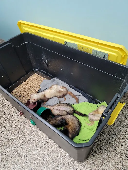 Bellevue Animal Hospital 12