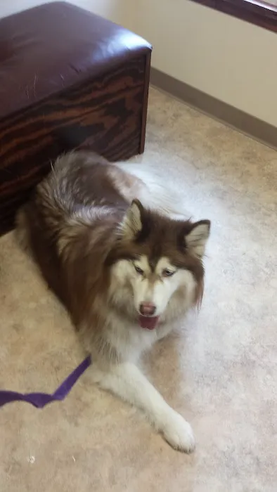 Firelands Animal Hospital Inc 12