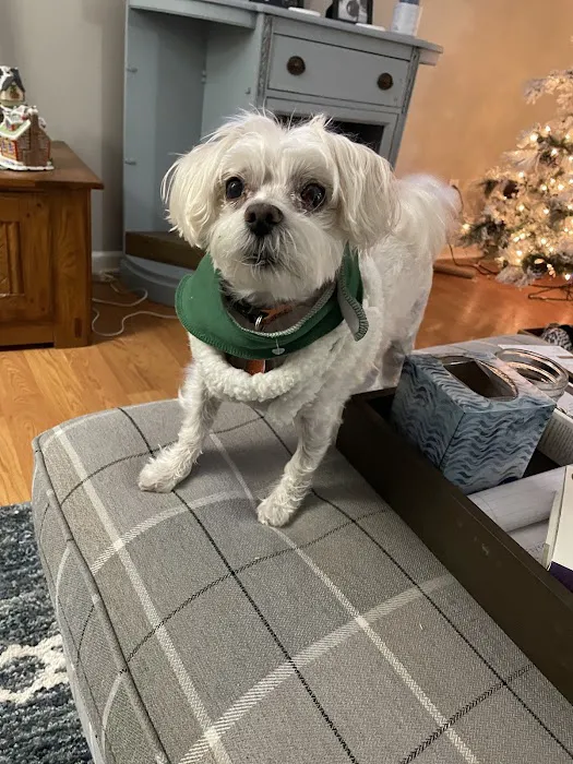 Furry Kids Wellness & Urgent Care - MERGED WITH SOUTHWEST ANIMAL HOSPITAL 6