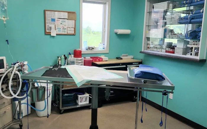 Woodland Animal Hospital 8