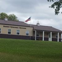 Summit Veterinary Services ico