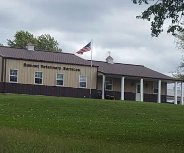 Summit Veterinary Services