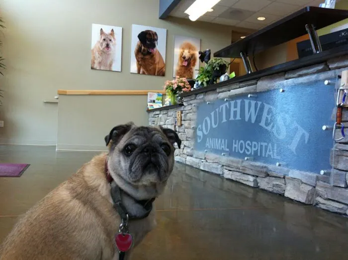 Southwest Animal Hospital 10