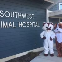 Southwest Animal Hospital ico