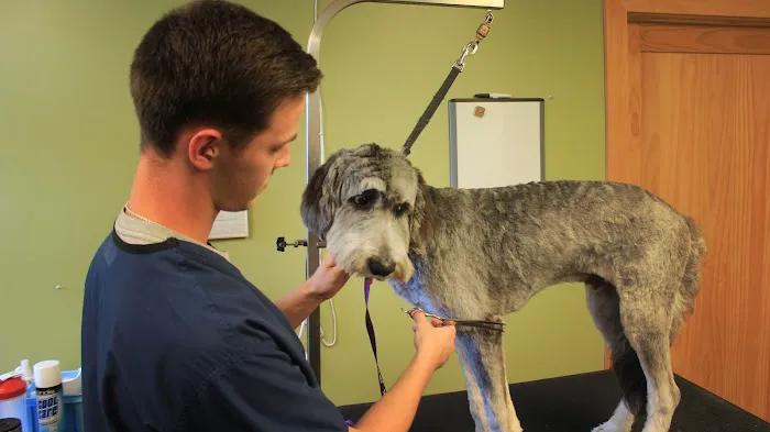 Southwest Animal Hospital 6