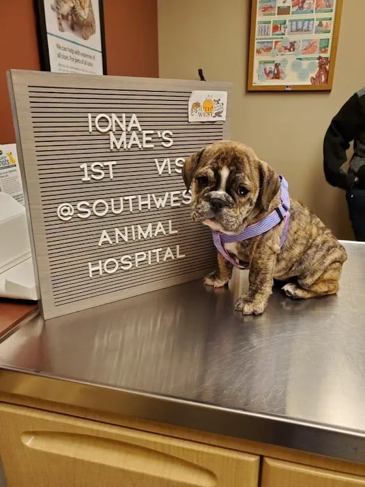Southwest Animal Hospital 7