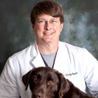 Animal Medical Center of Jefferson City ico