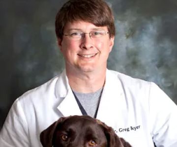 Animal Medical Center of Jefferson City