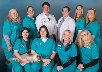 Animal Medical Center of Jefferson City 2