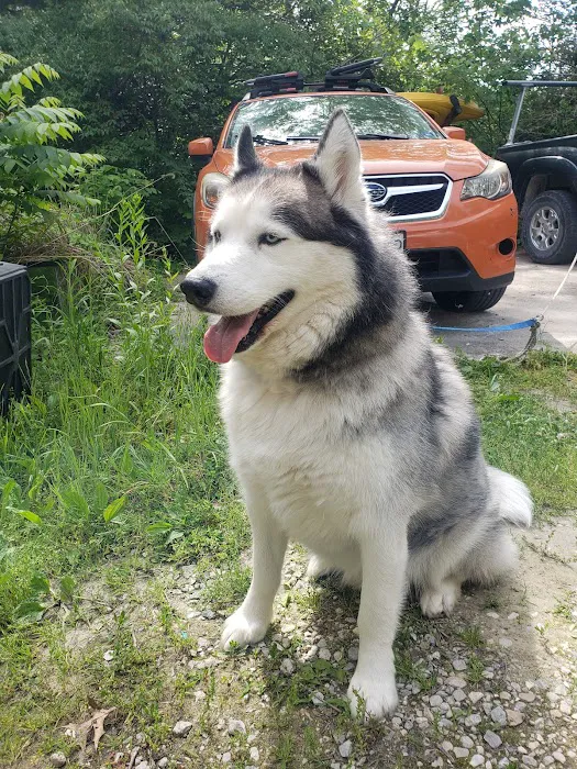Jefferson City Animal Hospital 3