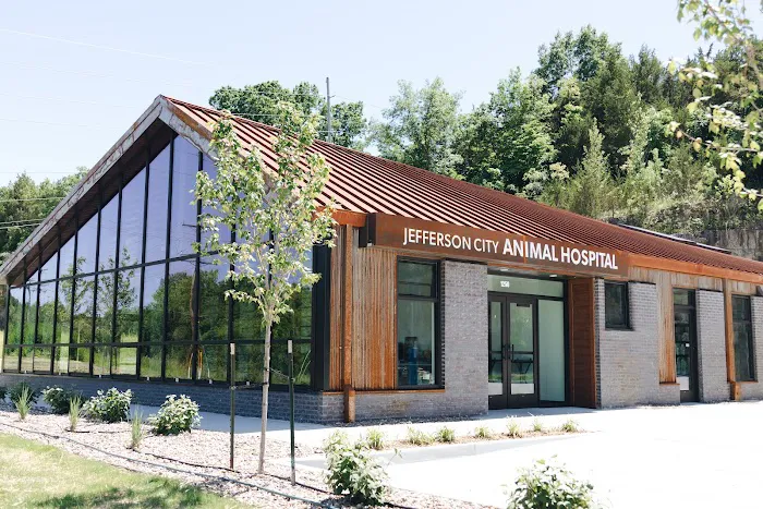 Jefferson City Animal Hospital 10