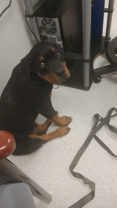 Veterinary Treatment Facility 7