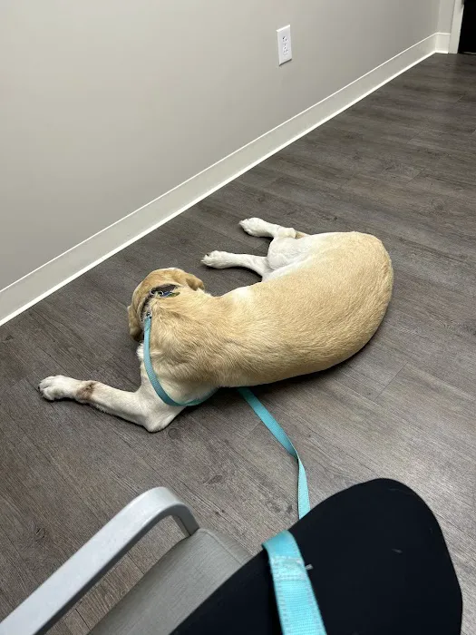 Heartland Veterinary Hospital P.C. 2