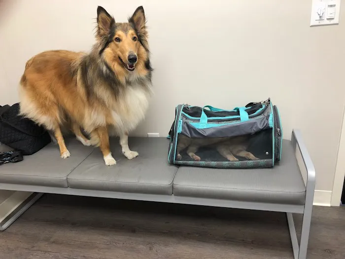 Heartland Veterinary Hospital P.C. 10