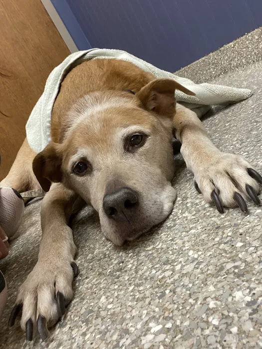 Hawthorne Animal Hospital, Ltd 7