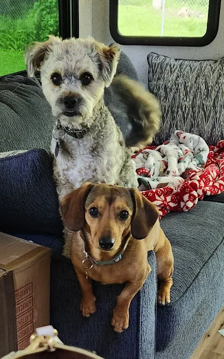 Banfield Pet Hospital 9