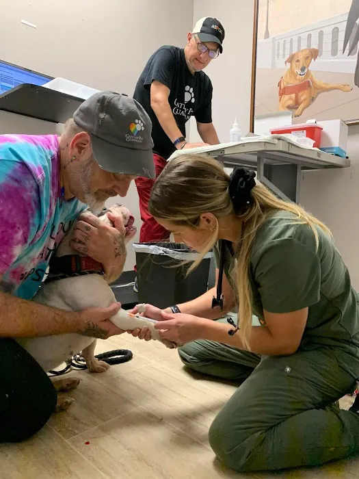 Veterinary Clinic (Gateway Pet Guardians) 1