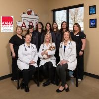 Ark Animal Hospital ico
