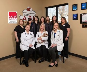 Ark Animal Hospital