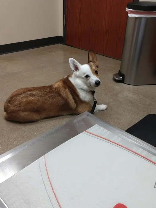 Ark Animal Hospital 9