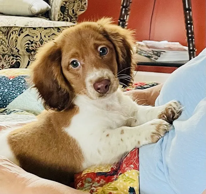 Ark Animal Hospital 7