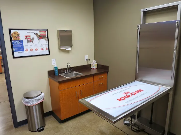 Ark Animal Hospital 4