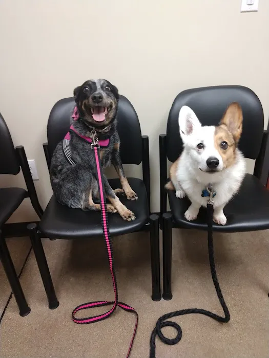 Ark Animal Hospital 5