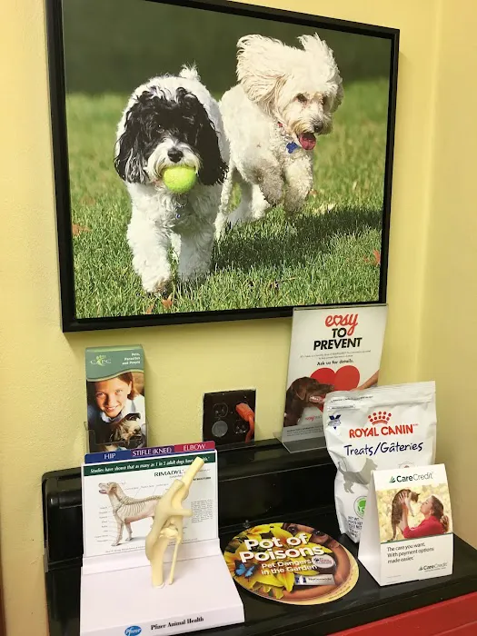 Edwardsville Pet Hospital 7