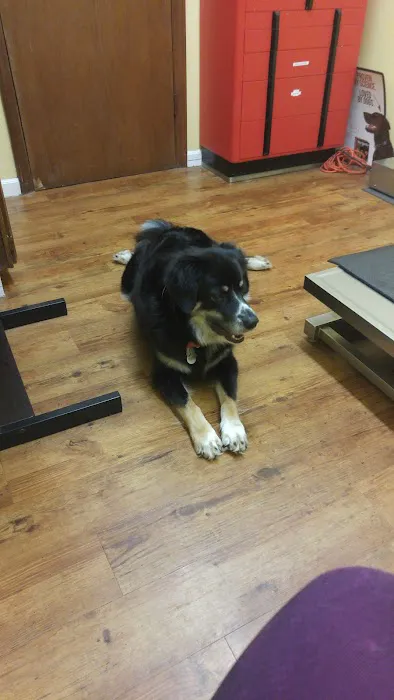 Edwardsville Pet Hospital 3