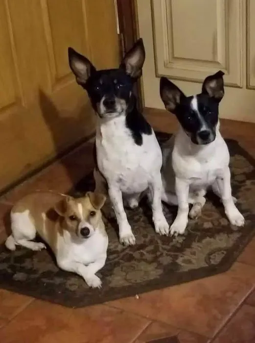 Big Valley Animal Hospital 5
