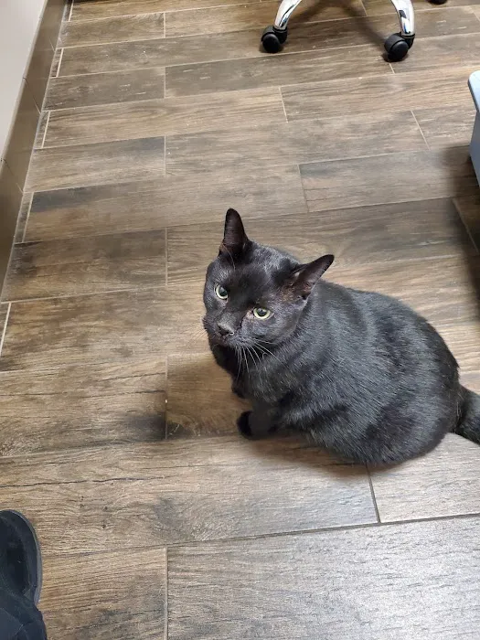 Big Valley Animal Hospital 6