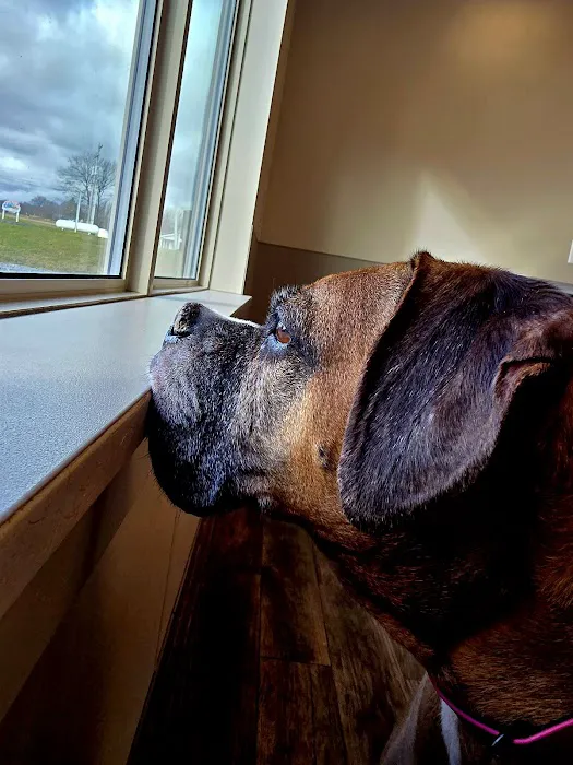 Big Valley Animal Hospital 10