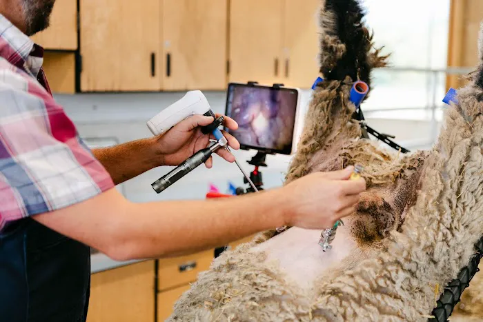 Genetic Visions Veterinary Services 1
