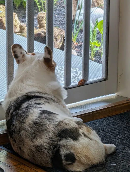 Newville Animal Hospital 1