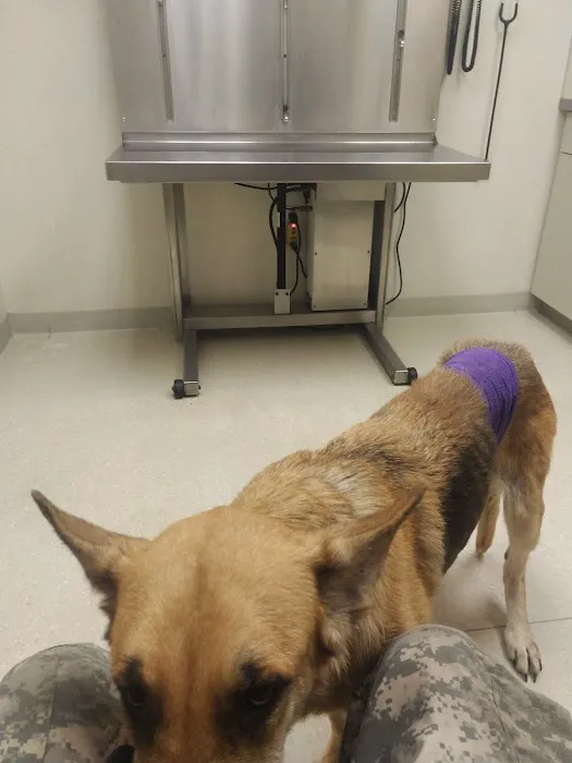 Northeast Veterinary Referral Hospital 12
