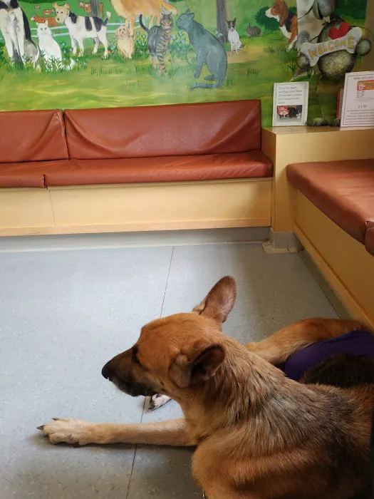 Northeast Veterinary Referral Hospital 12