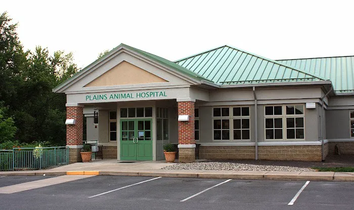Plains Animal Hospital 5