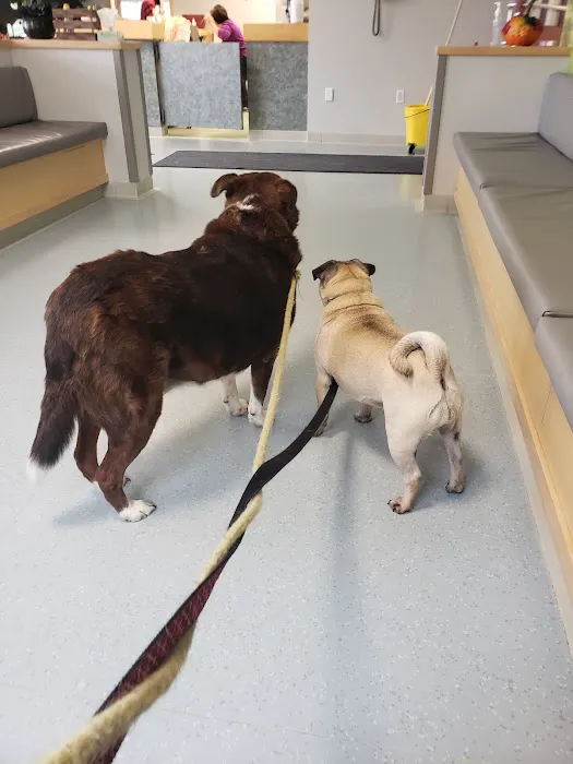Plains Animal Hospital 9