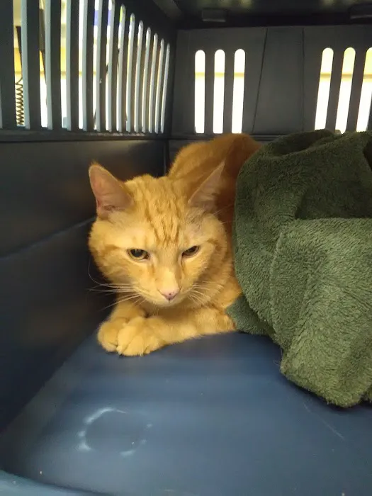 Plains Animal Hospital 8