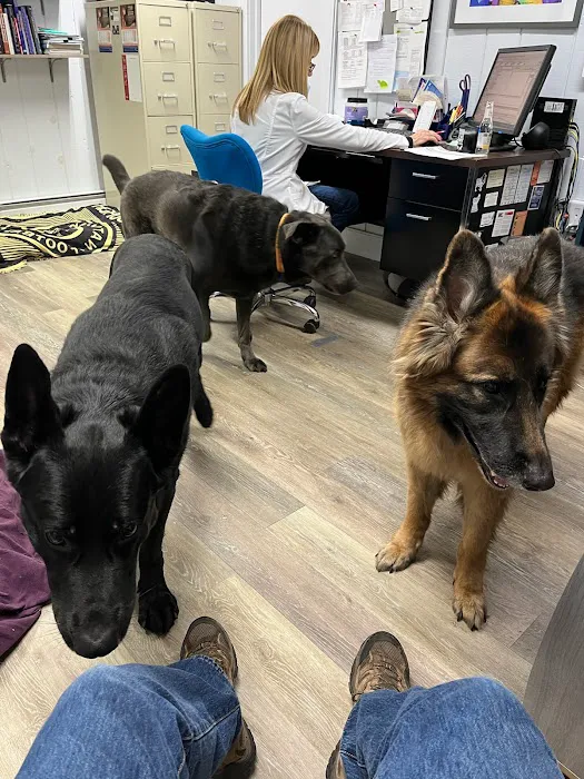 Dallas Veterinary Clinic 2